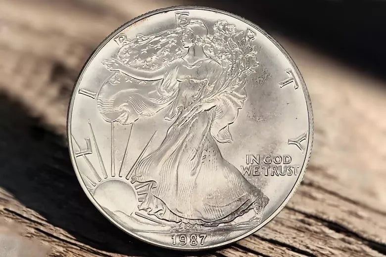 American Eagle 1 oz 20$ Silver US Mint Ag.999 voth002